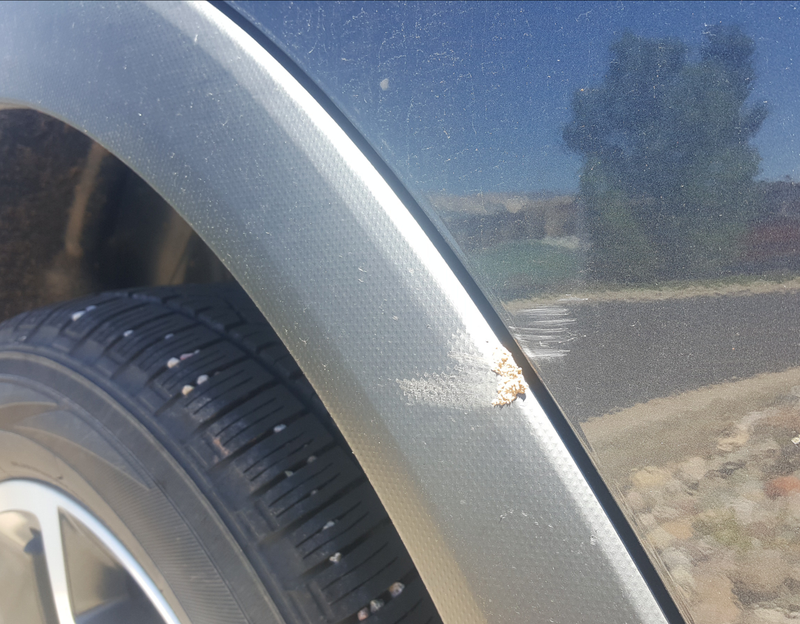 Illustration for article titled At least it wasn't the windshield?